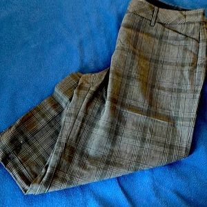 Expresses Editor capri size 10